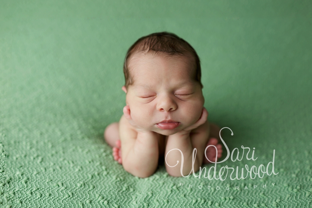 winter springs newborn photographer