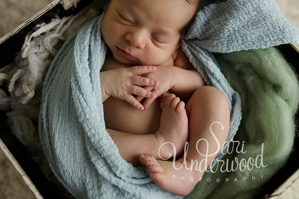 Winter Springs Newborn Photography