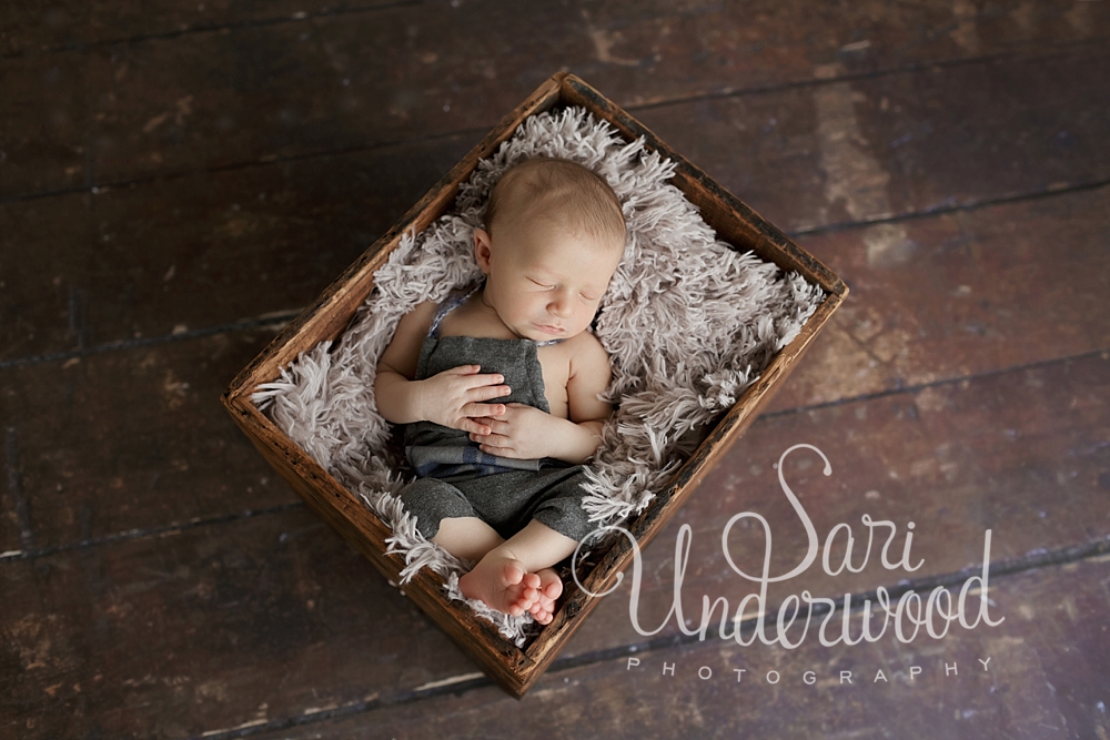 Longwood newborn photographer