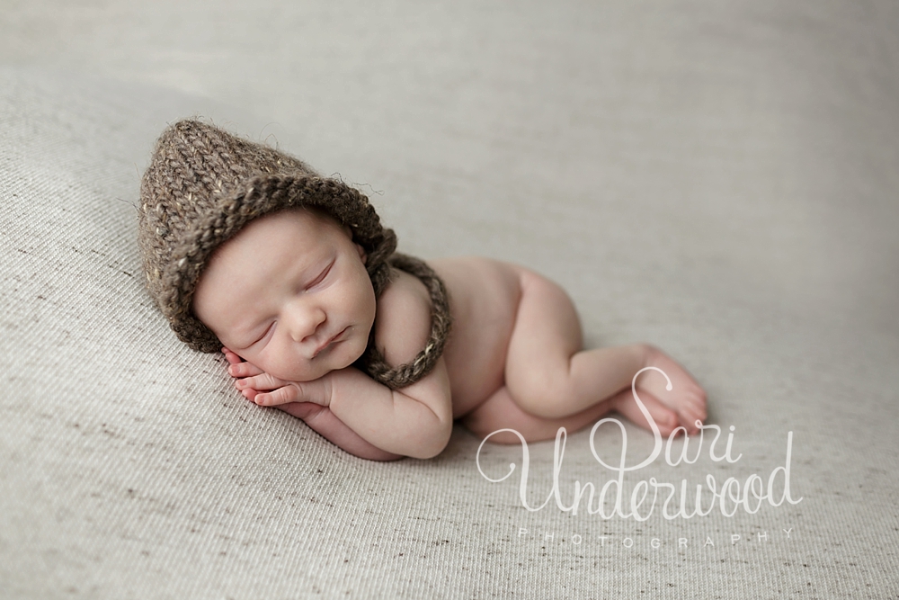 oviedo newborn photography