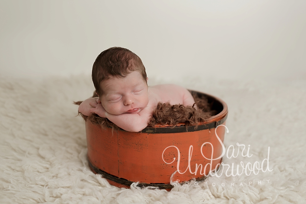 orlando newborn portrait studio