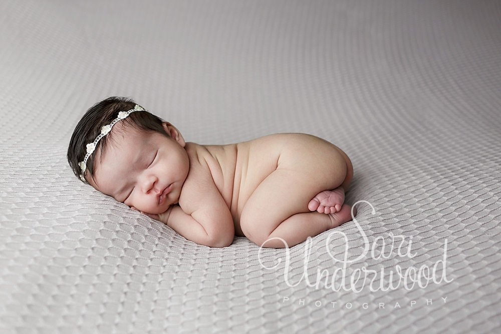 Orlando Newborn Photographer