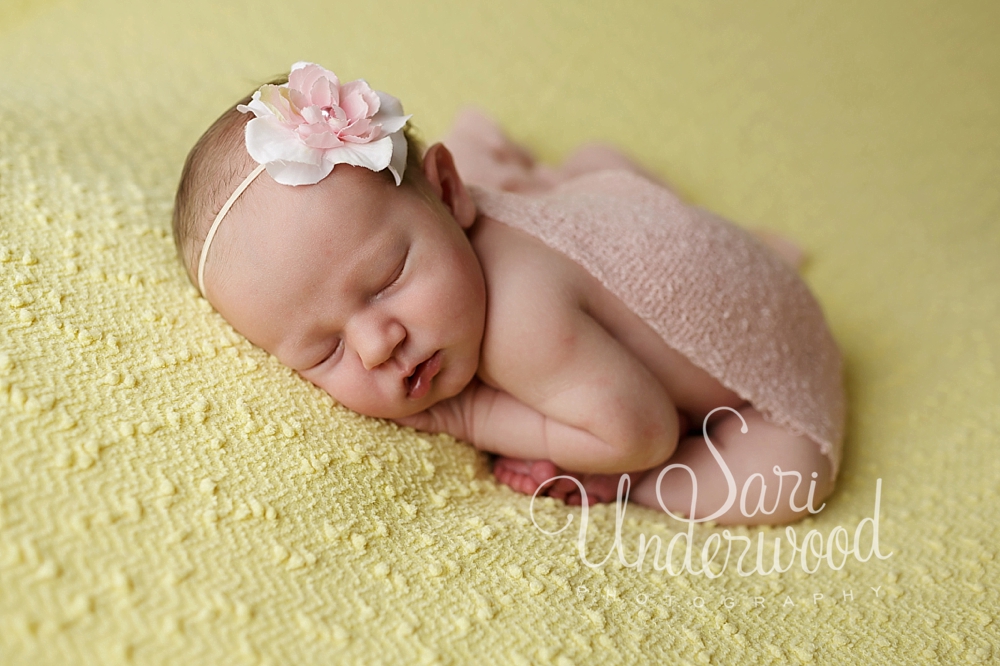 Florida newborn photography
