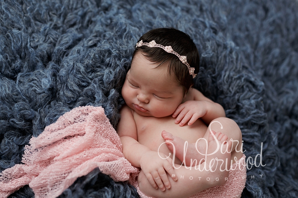 celebration florida newborn photography