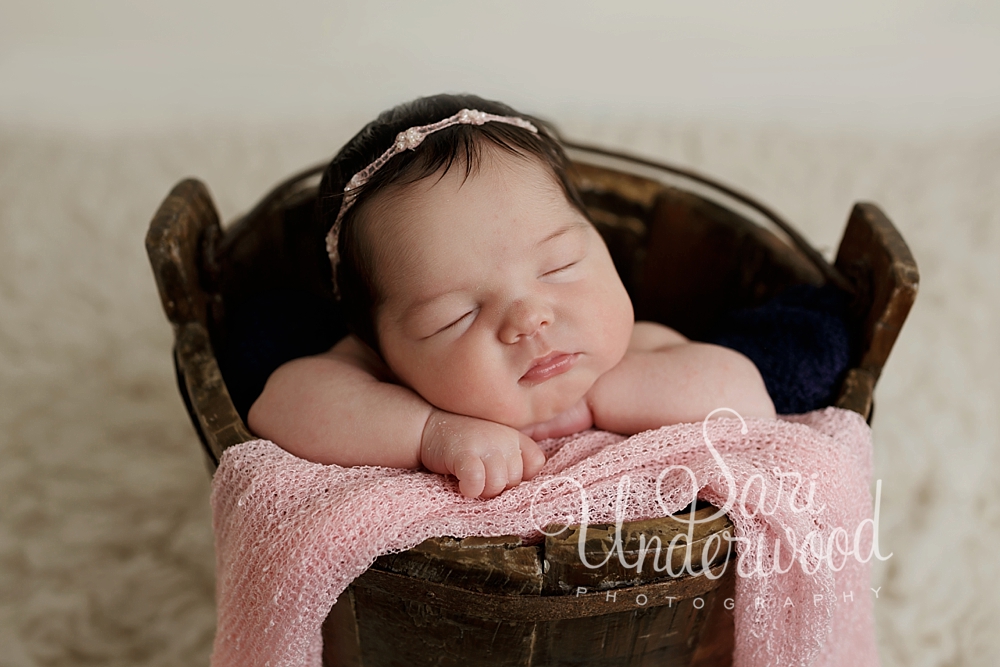 orlando's best newborn photographer