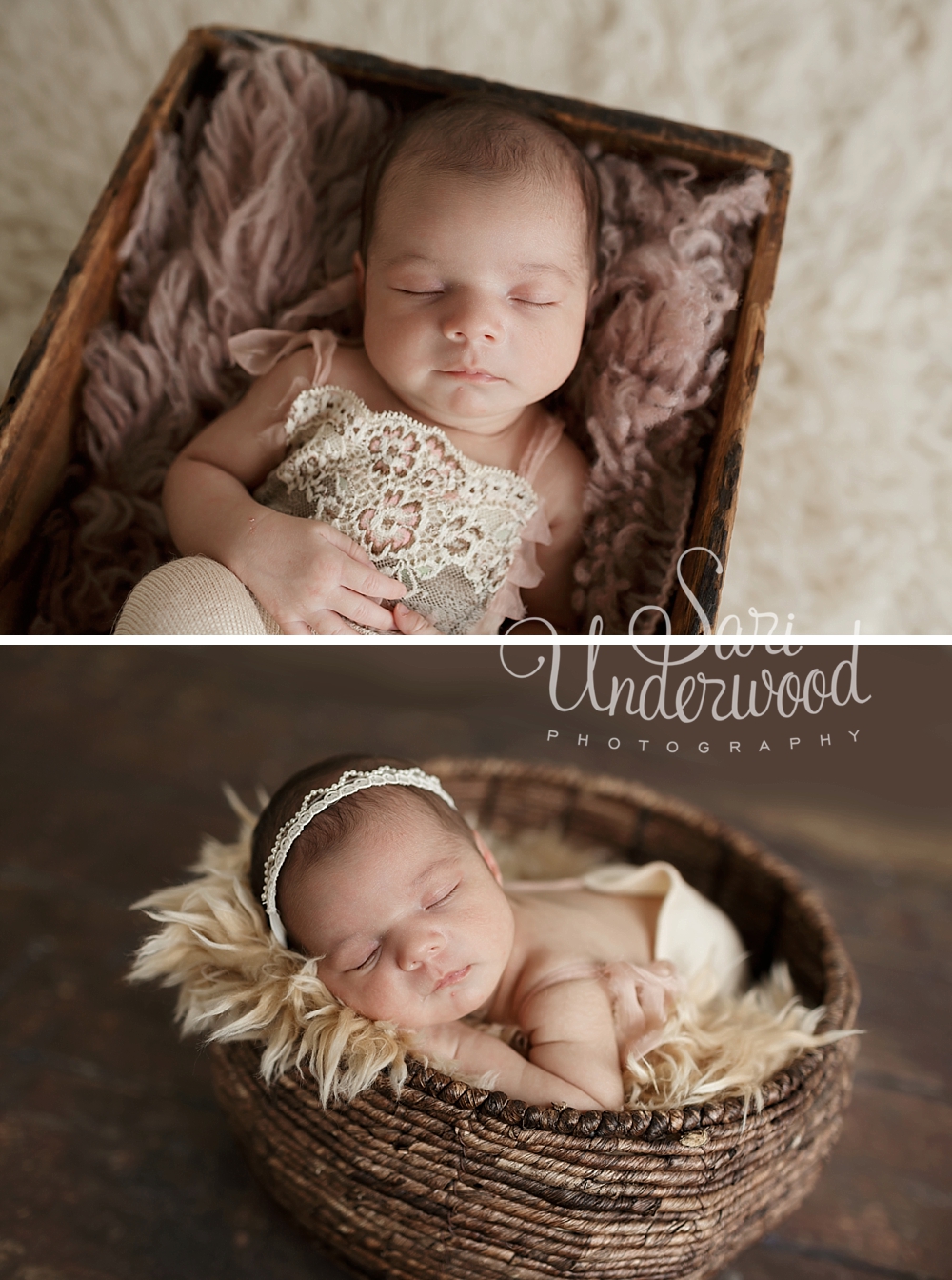 Orlando Newborn Photography