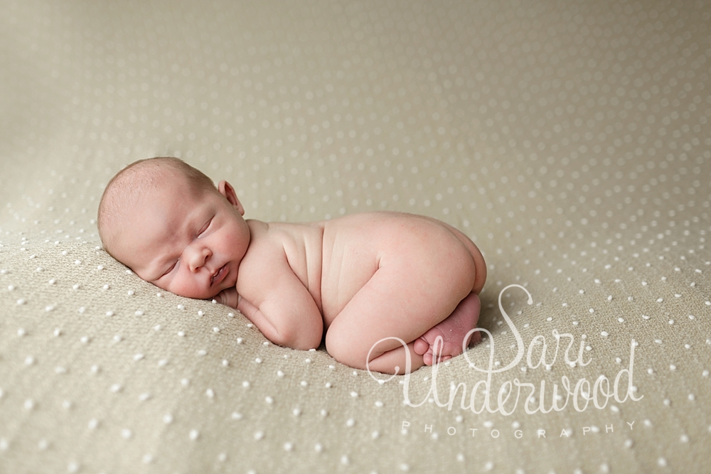 Orlando area baby photography