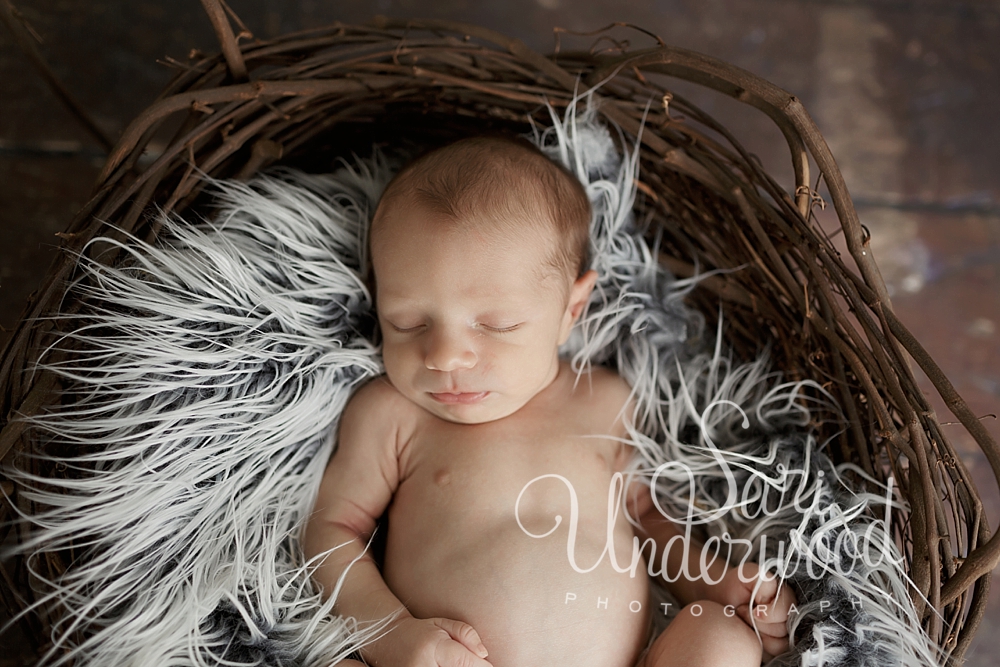 Belle Isle newborn photography