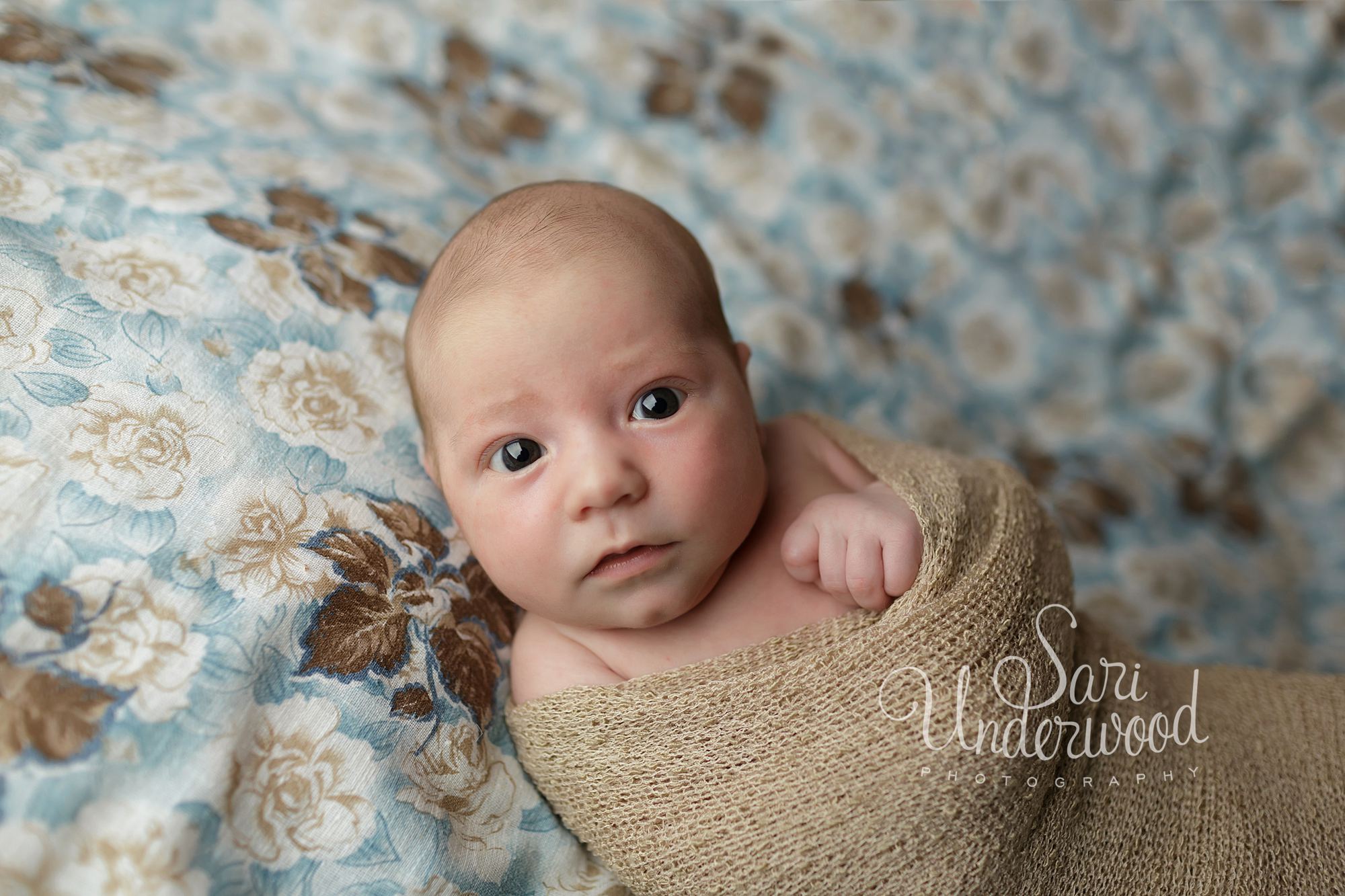 Baldwin Park Baby Photography