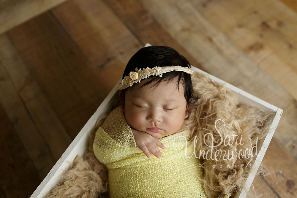 Orlando Milestone Baby Session