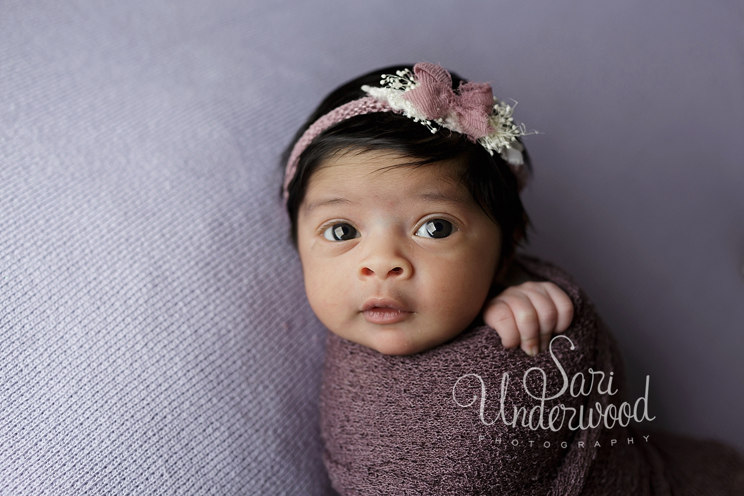 Winter Park Newborn Photos