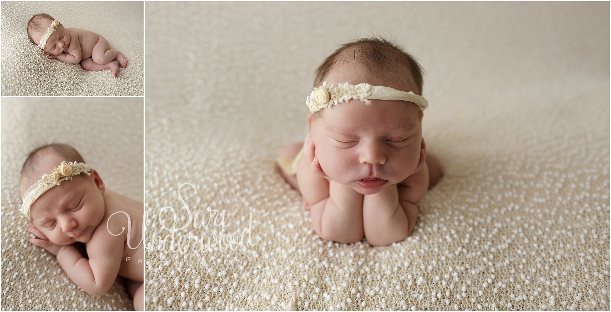 Titusville newborn photographer