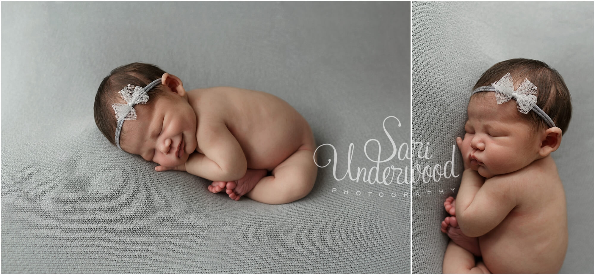 Maitland Newborn Photographer