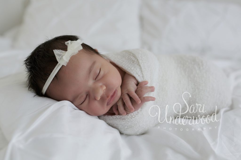 newborn portraits orlando