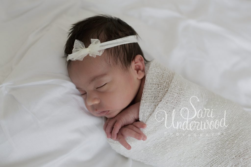 newborn portraits orlando