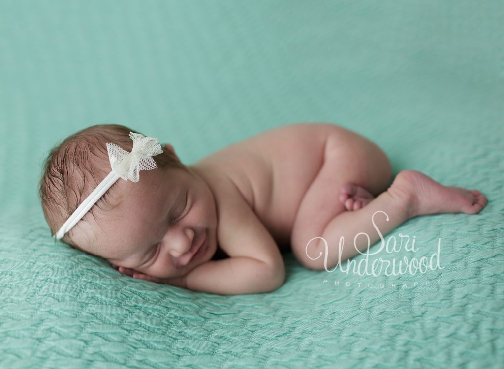 college park newborn photography