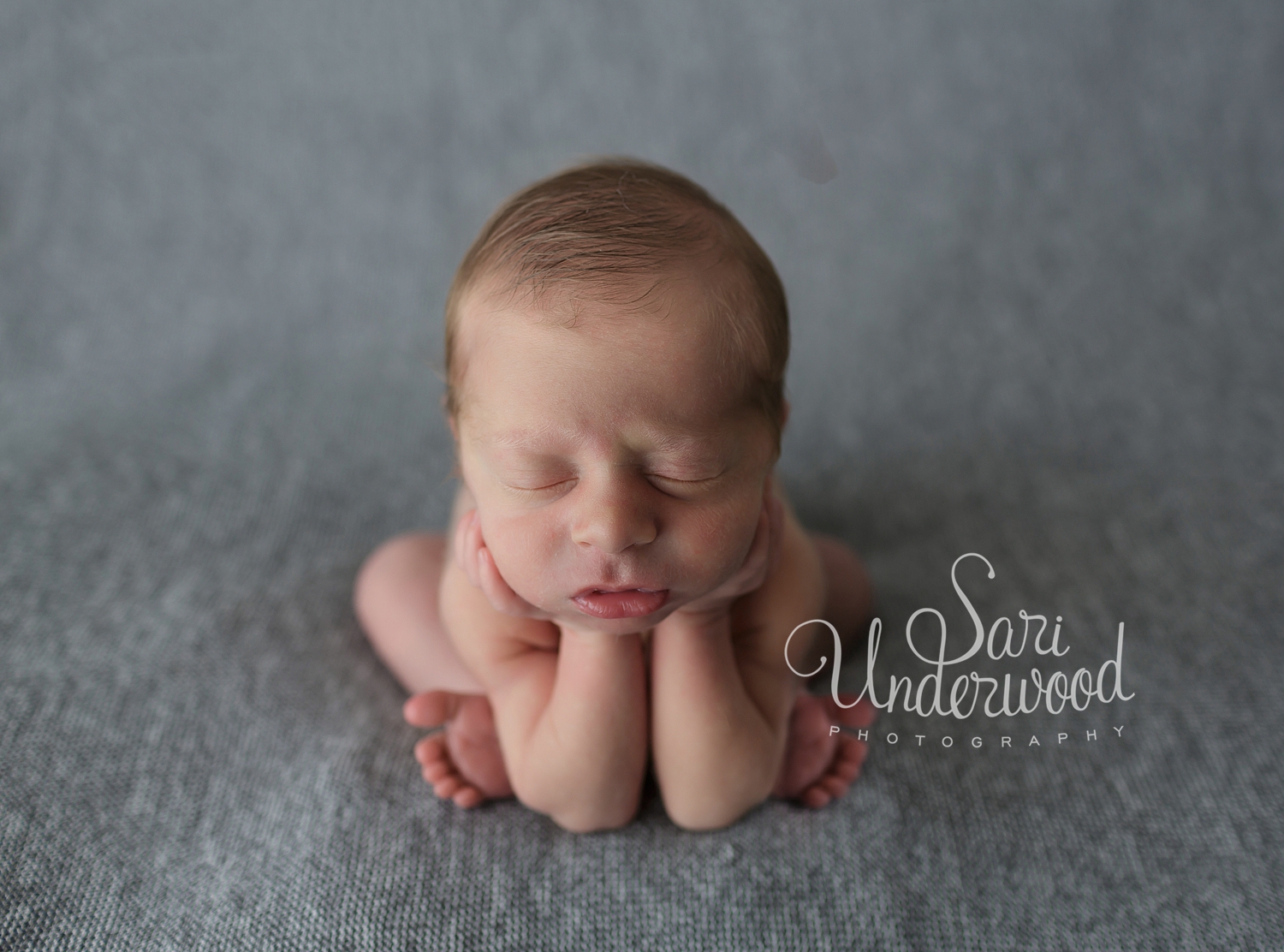 Maitland Newborn Photographer