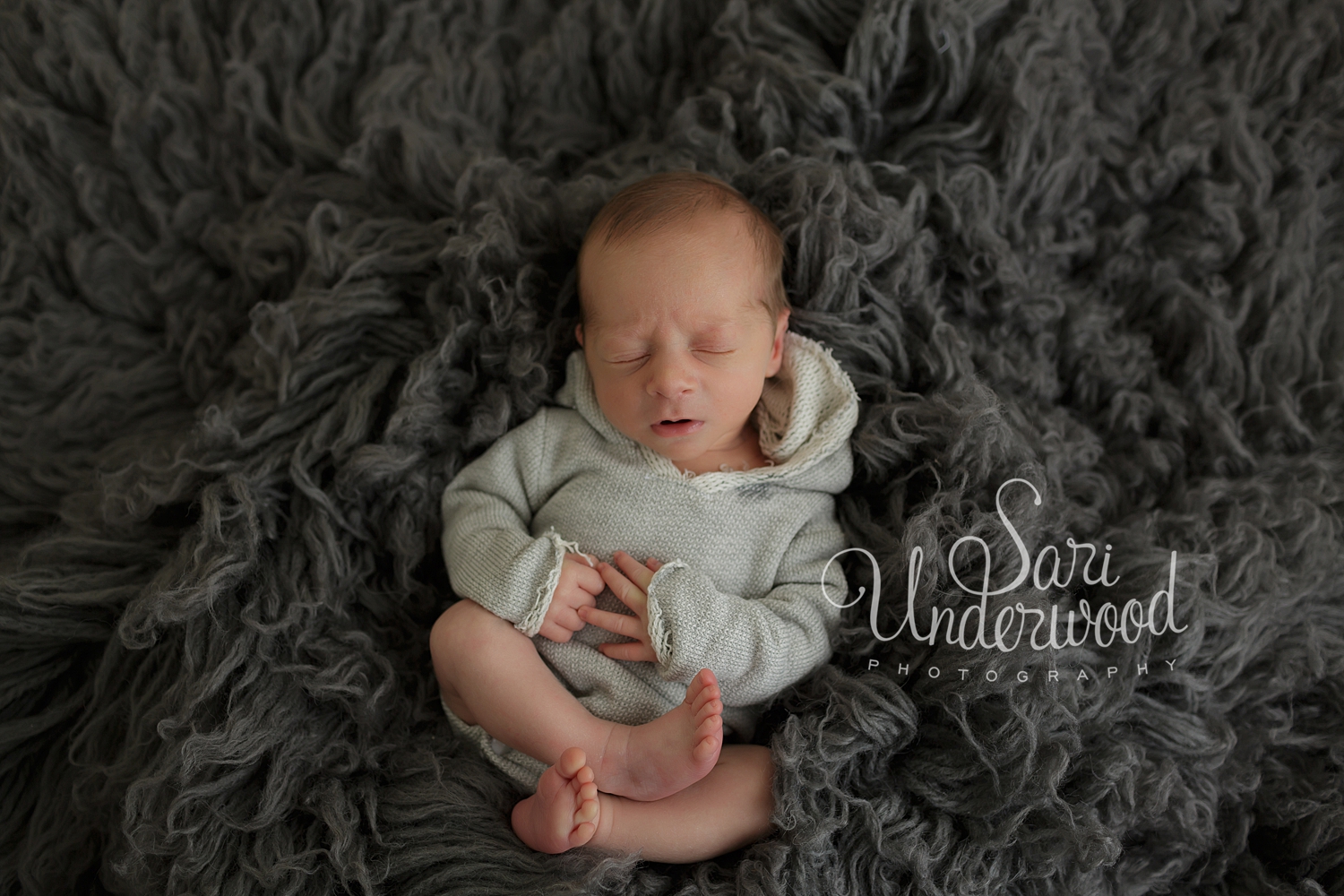 Maitland Newborn Photographer