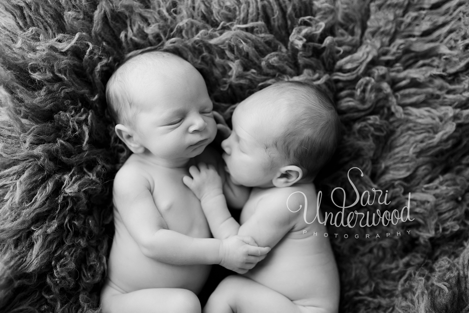 oviedo newborn twins photographer