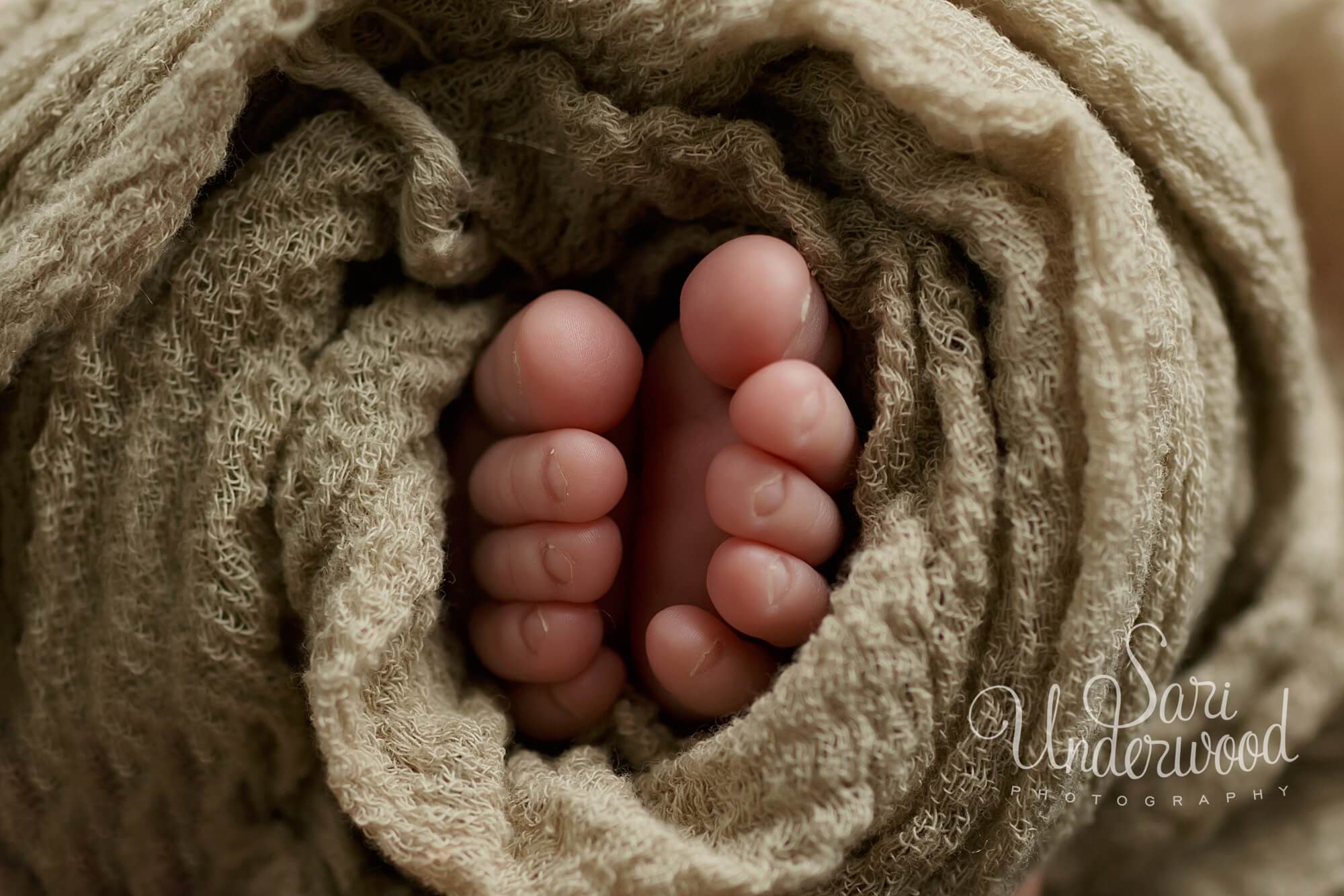 closeup of newborn baby toes